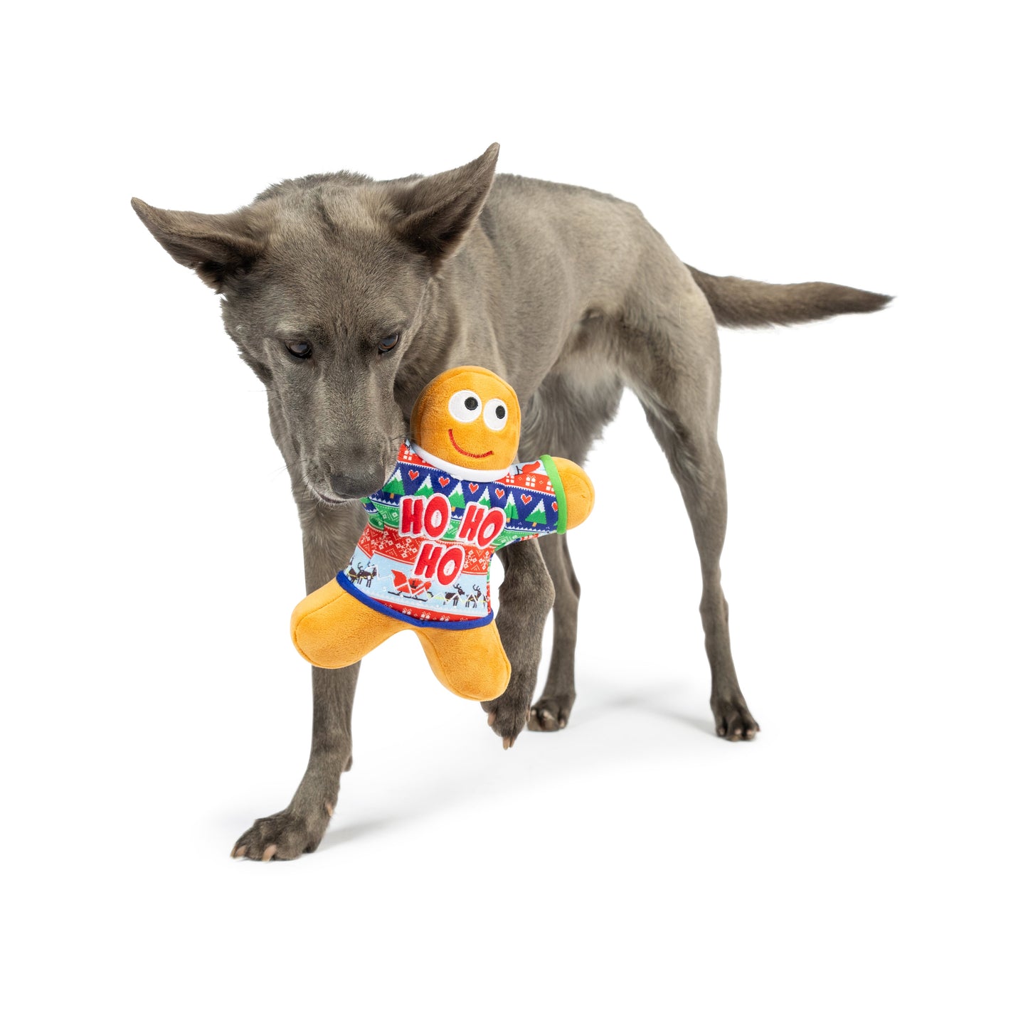 Ugly Sweater G-Man Dog Toy