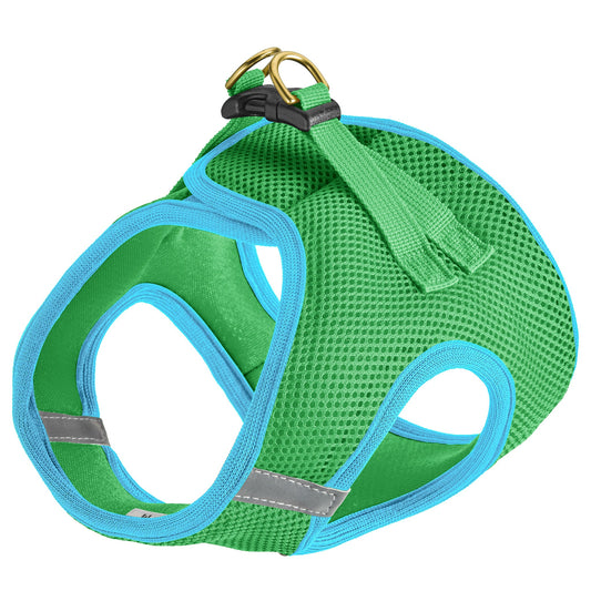 Lime and Aqua Small Dog Vest Harness