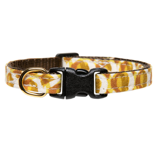 The Wild Thing Collar