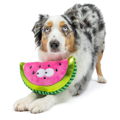 Fetchies® Walter Melon Dog Toy