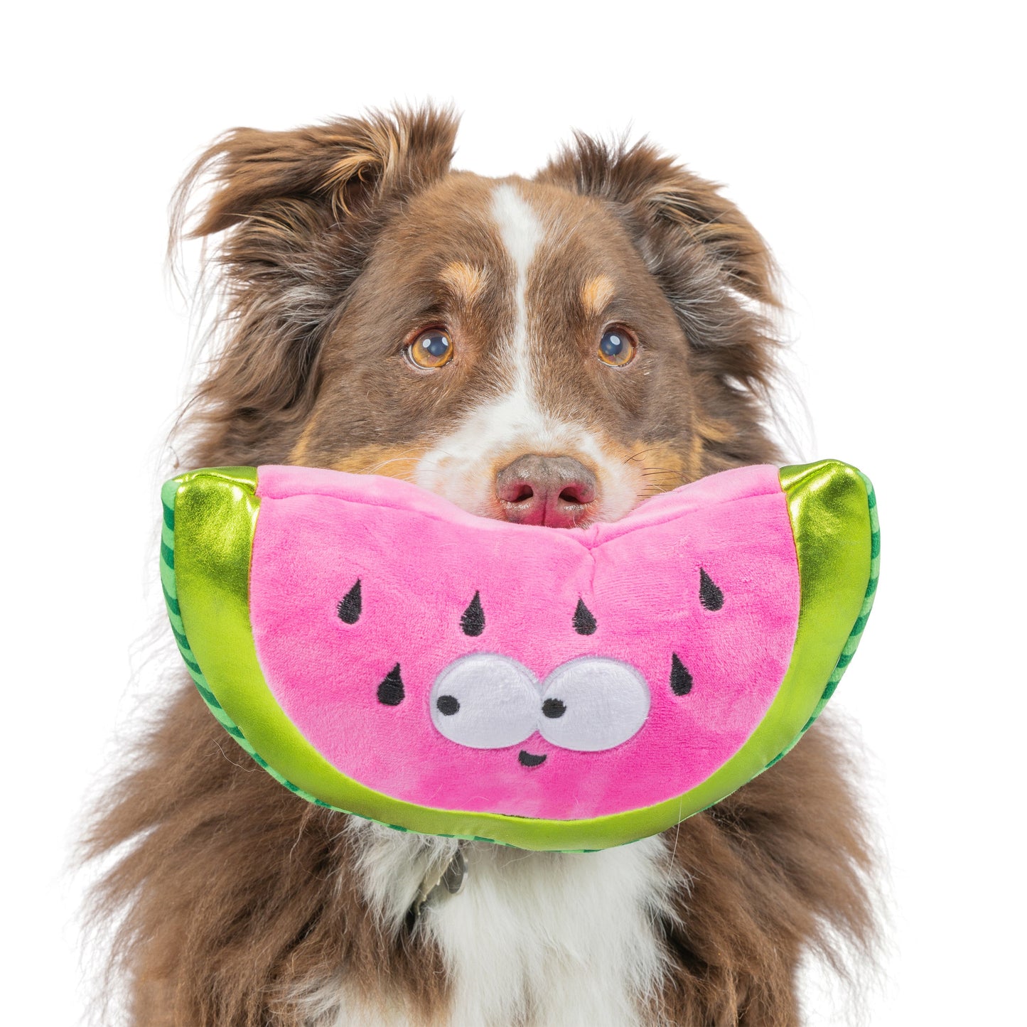 Fetchies® Walter Melon Dog Toy