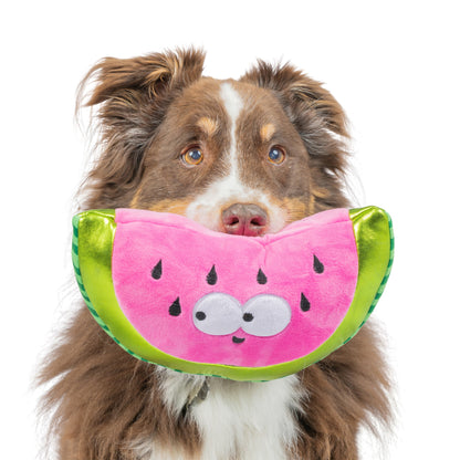 Fetchies® Walter Melon Dog Toy