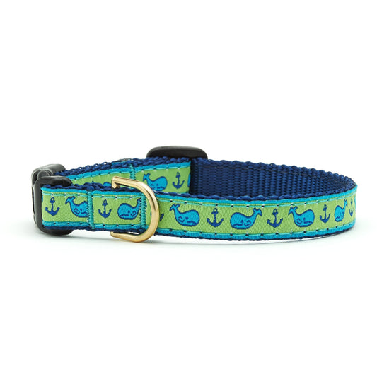 Whale Small Breed Dog Collar