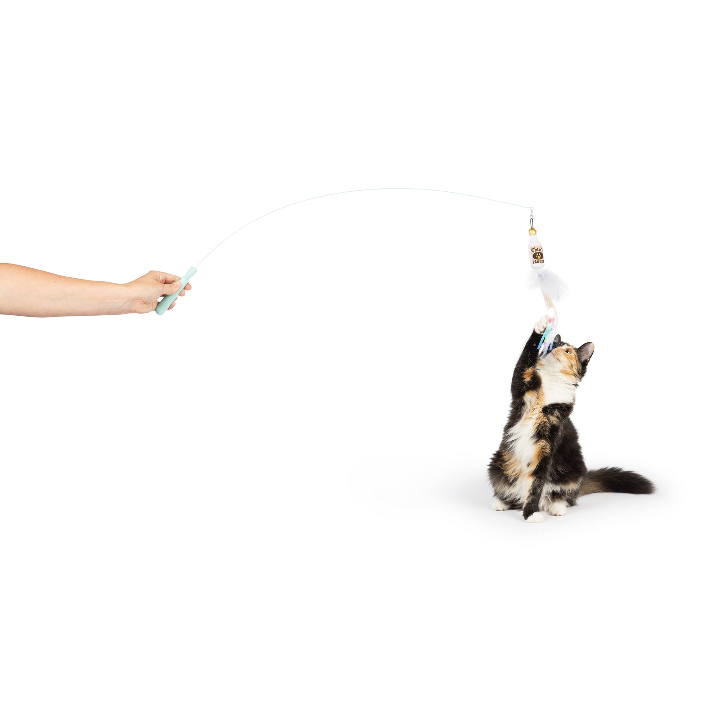 Wire Toto's & Pom Poms Wand 2pk Cat Toy