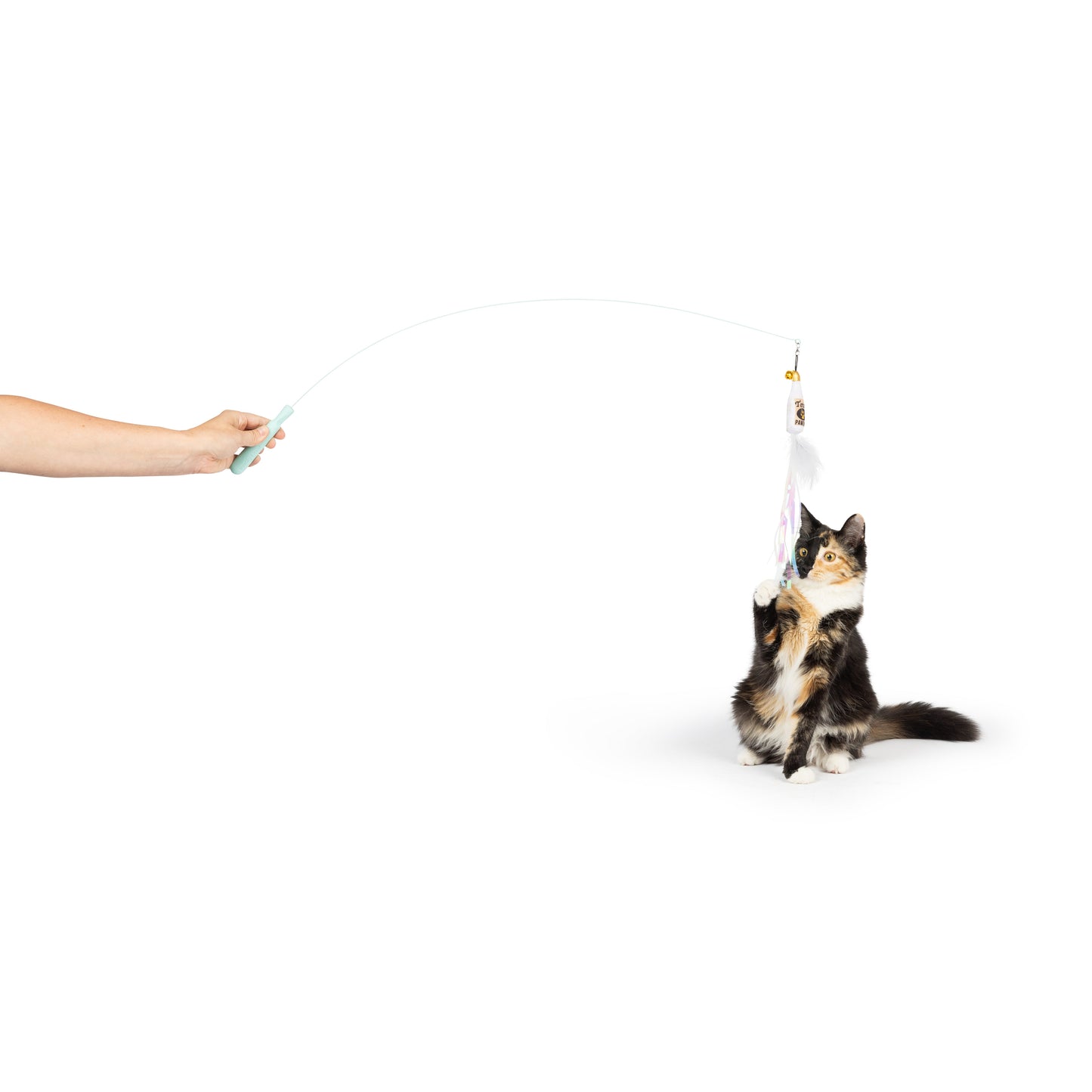 Wire Toto's & Pom Poms Wand 2pk Cat Toy