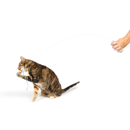 Wire Toto's & Pom Poms Wand 2pk Cat Toy