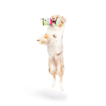 Witch's Potion Dog Toy