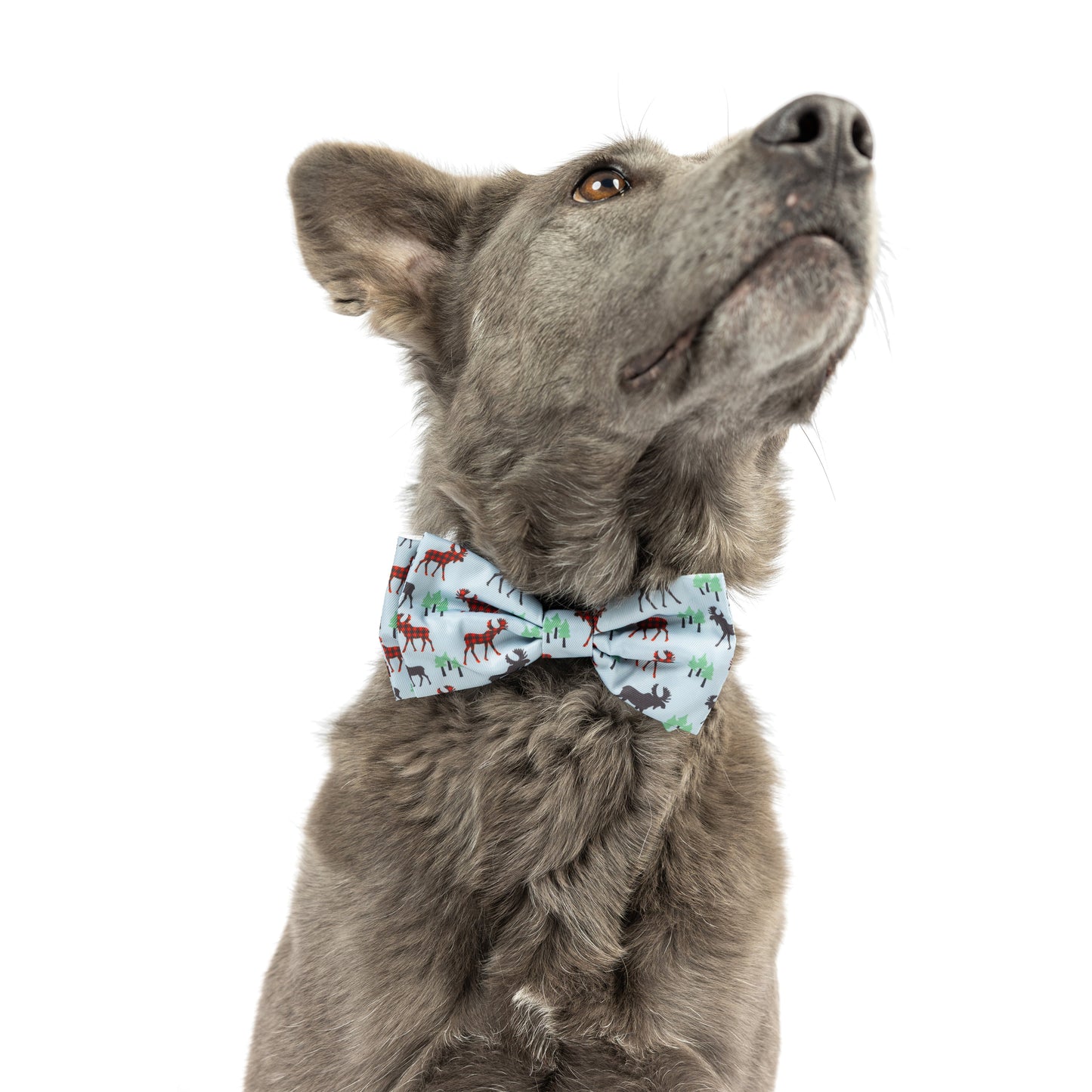 Woodsy Moose Bow Tie - 30% Off