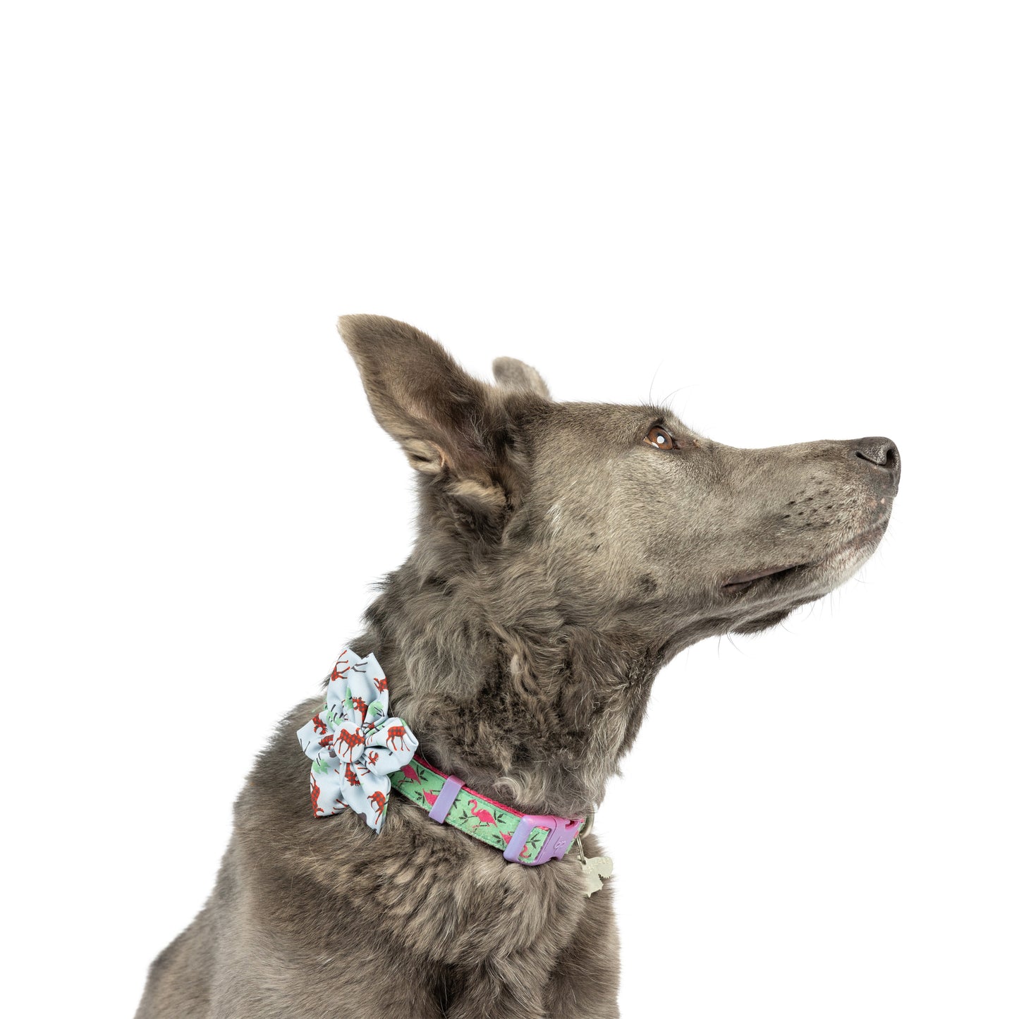 Woodsy Moose Pinwheel - 30% Off