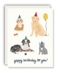 Dog Happy Birthday Card (Pack of 6)