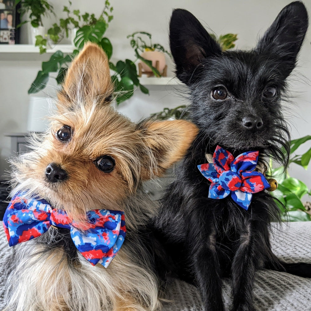 American Tie Dye Bow Tie