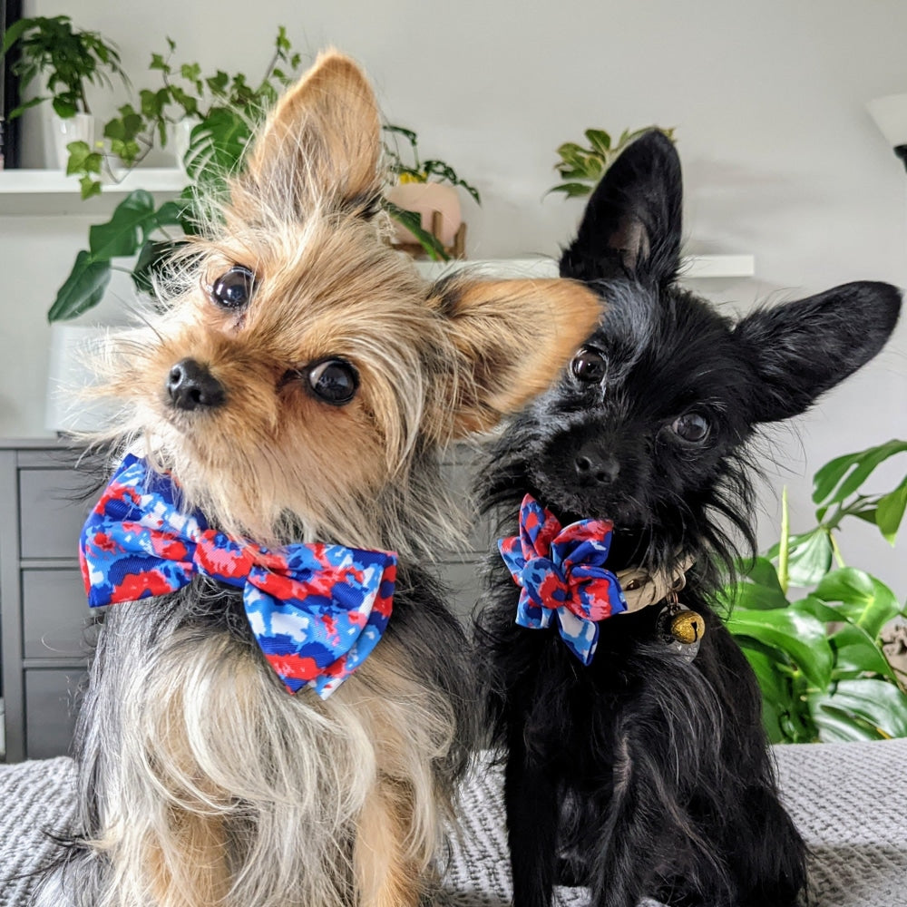 American Tie Dye Bow Tie