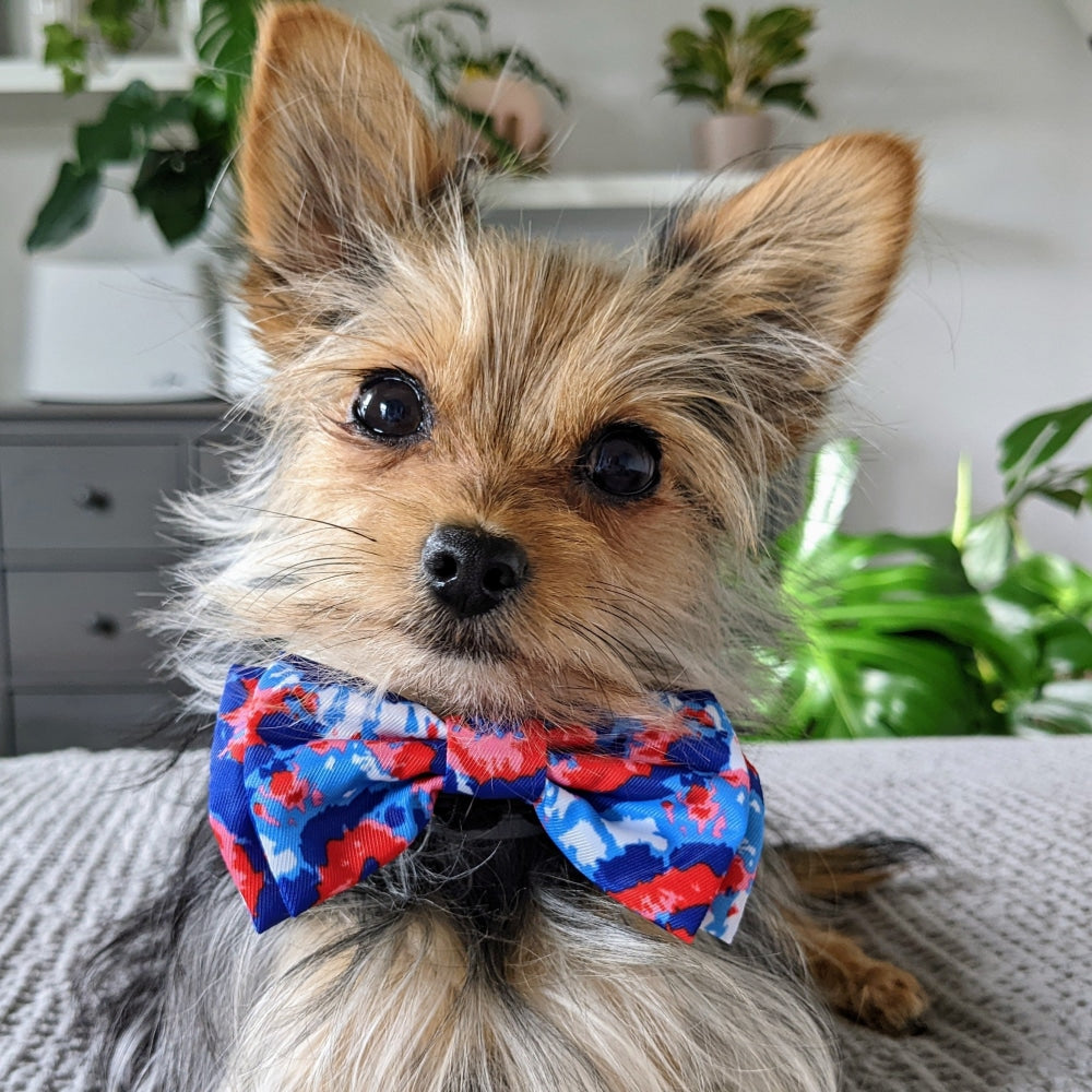 American Tie Dye Bow Tie