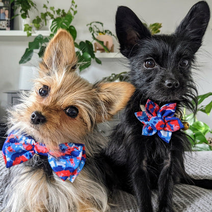 American Tie Dye Pinwheel - 30% Off