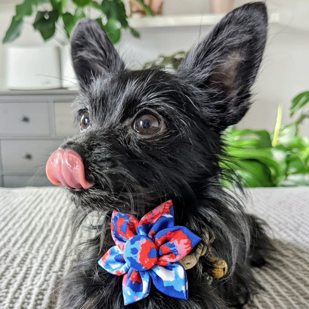 American Tie Dye Pinwheel - 30% Off