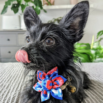 American Tie Dye Pinwheel - 30% Off