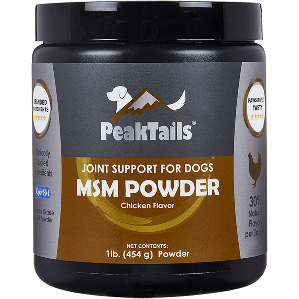MSM Powder