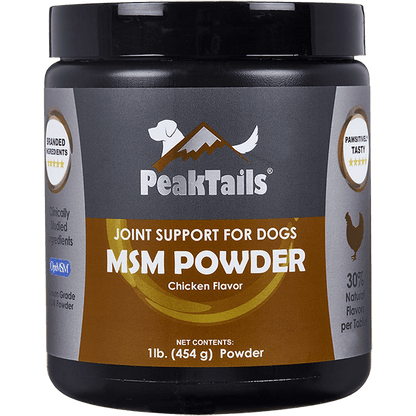 MSM Powder