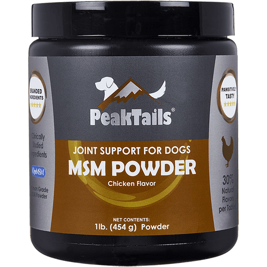 MSM Powder