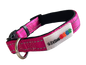 Neoprene Padded Nylon Dog Collar