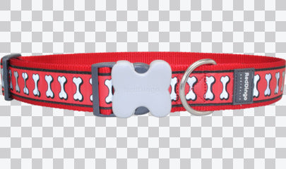 Buckle Bone Dog Collars - Reflective