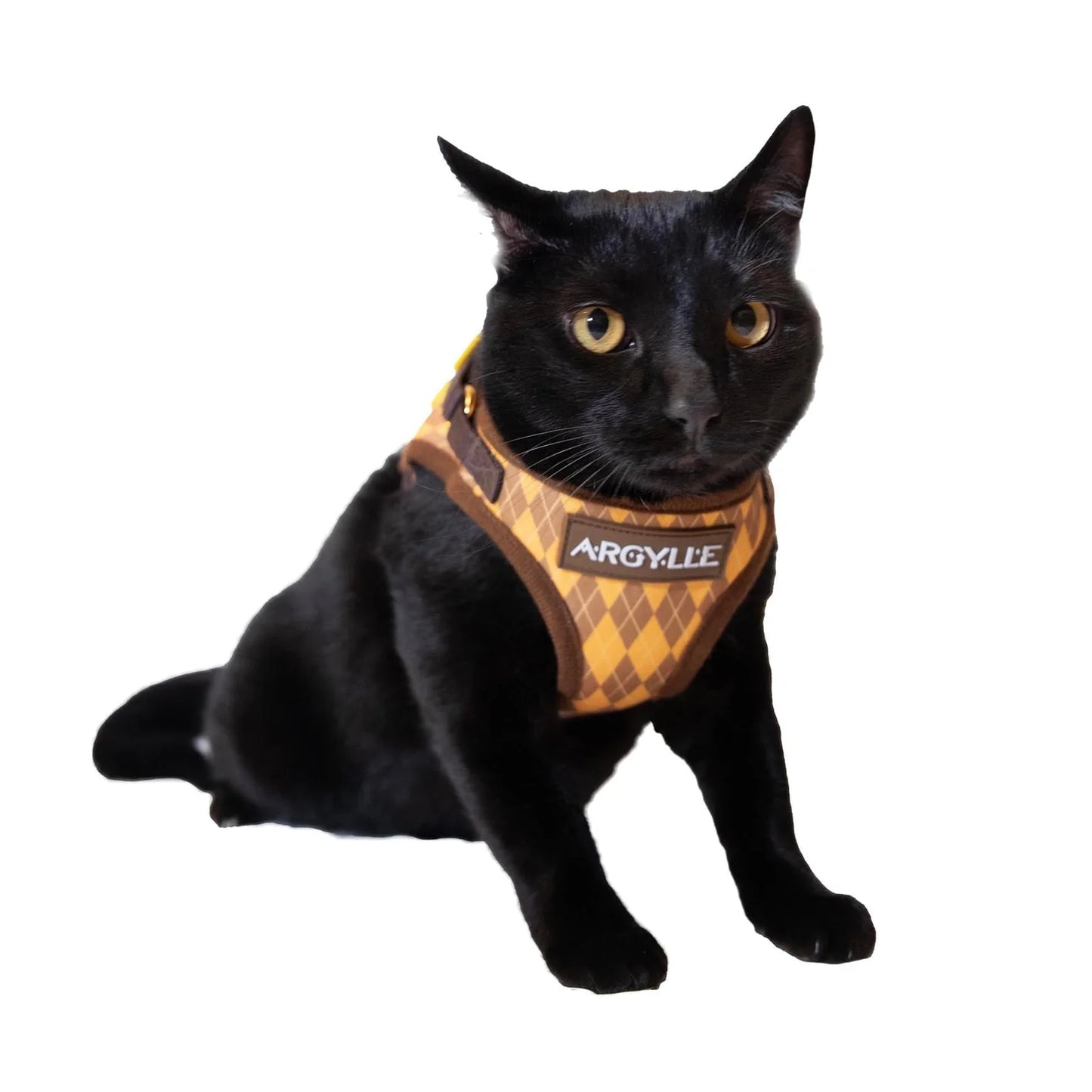 "The True Adventurer" Harness & Leash