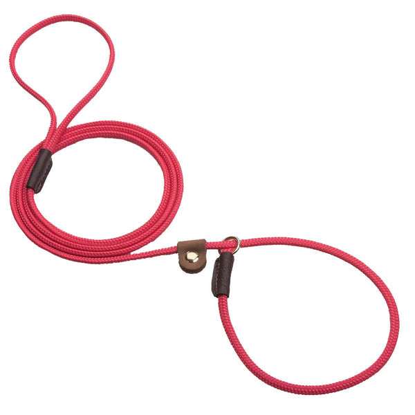 Slip w/Tab Show Leads/Leashes