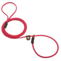 Slip w/Tab Show Leads/Leashes