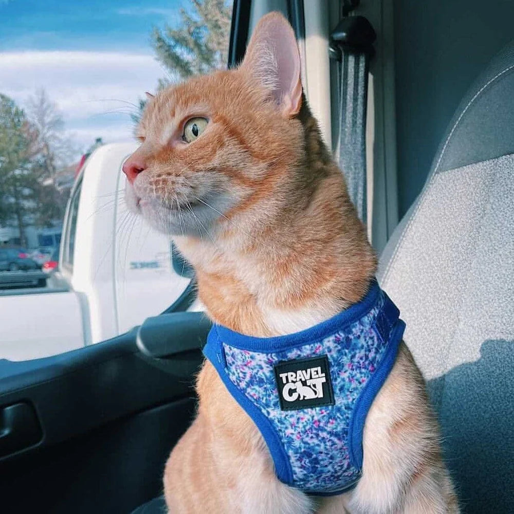 "The True Adventurer" Harness & Leash