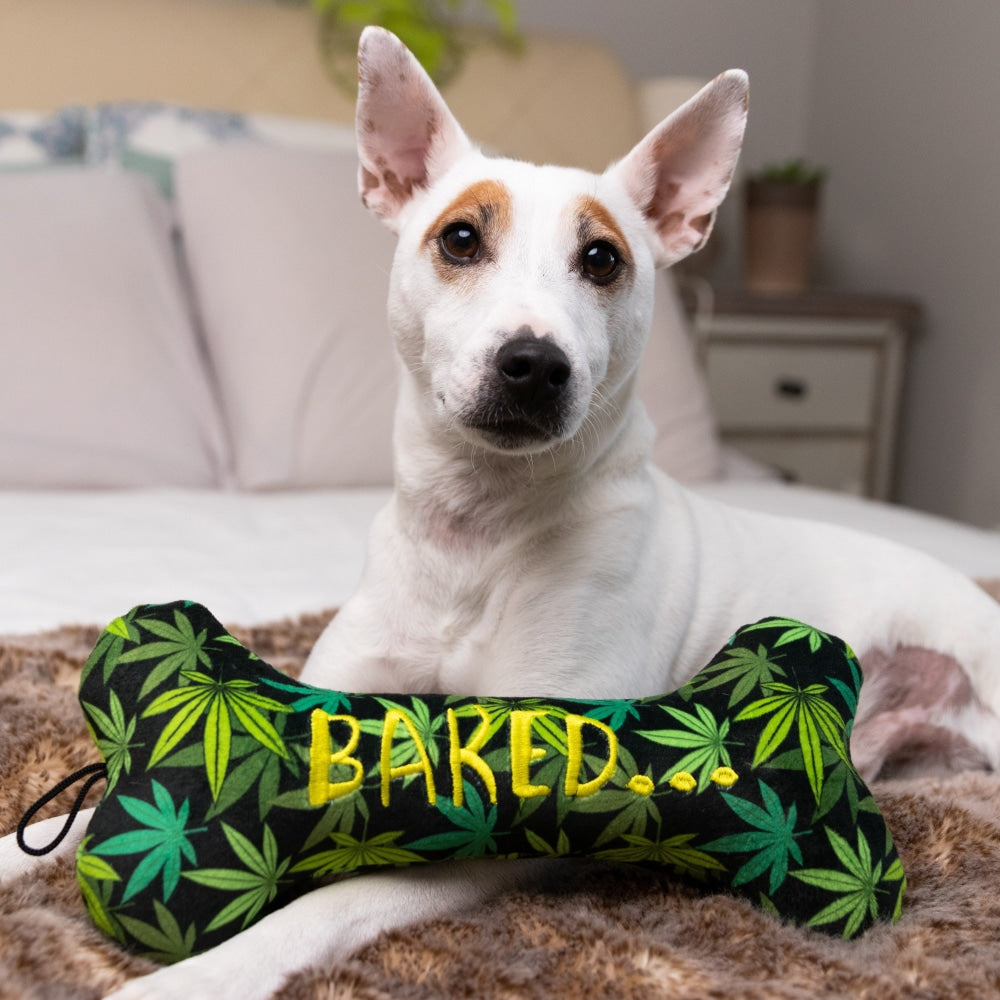 Baked Bone Dog Toy - 30% Off