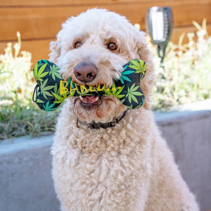Baked Bone Dog Toy - 30% Off