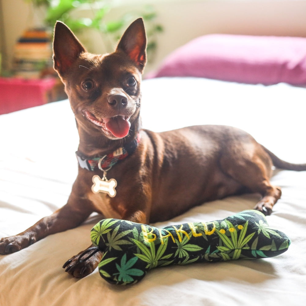 Baked Bone Dog Toy - 30% Off