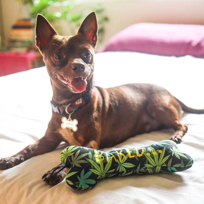 Baked Bone Dog Toy - 30% Off