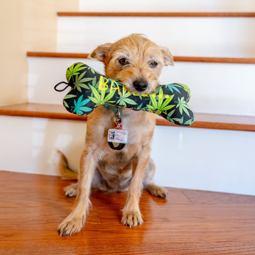 Baked Bone Dog Toy - 30% Off