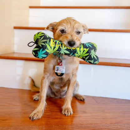 Baked Bone Dog Toy - 30% Off