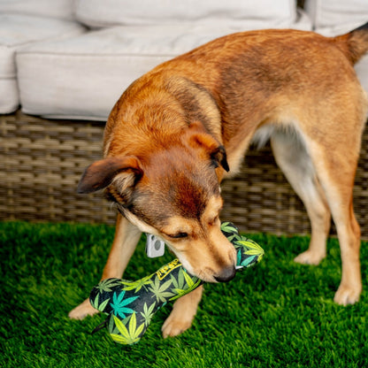 Baked Bone Dog Toy - 30% Off