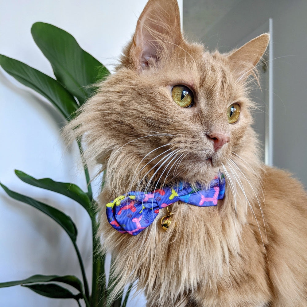 Balloon Doggy Bow Tie - 30% Off