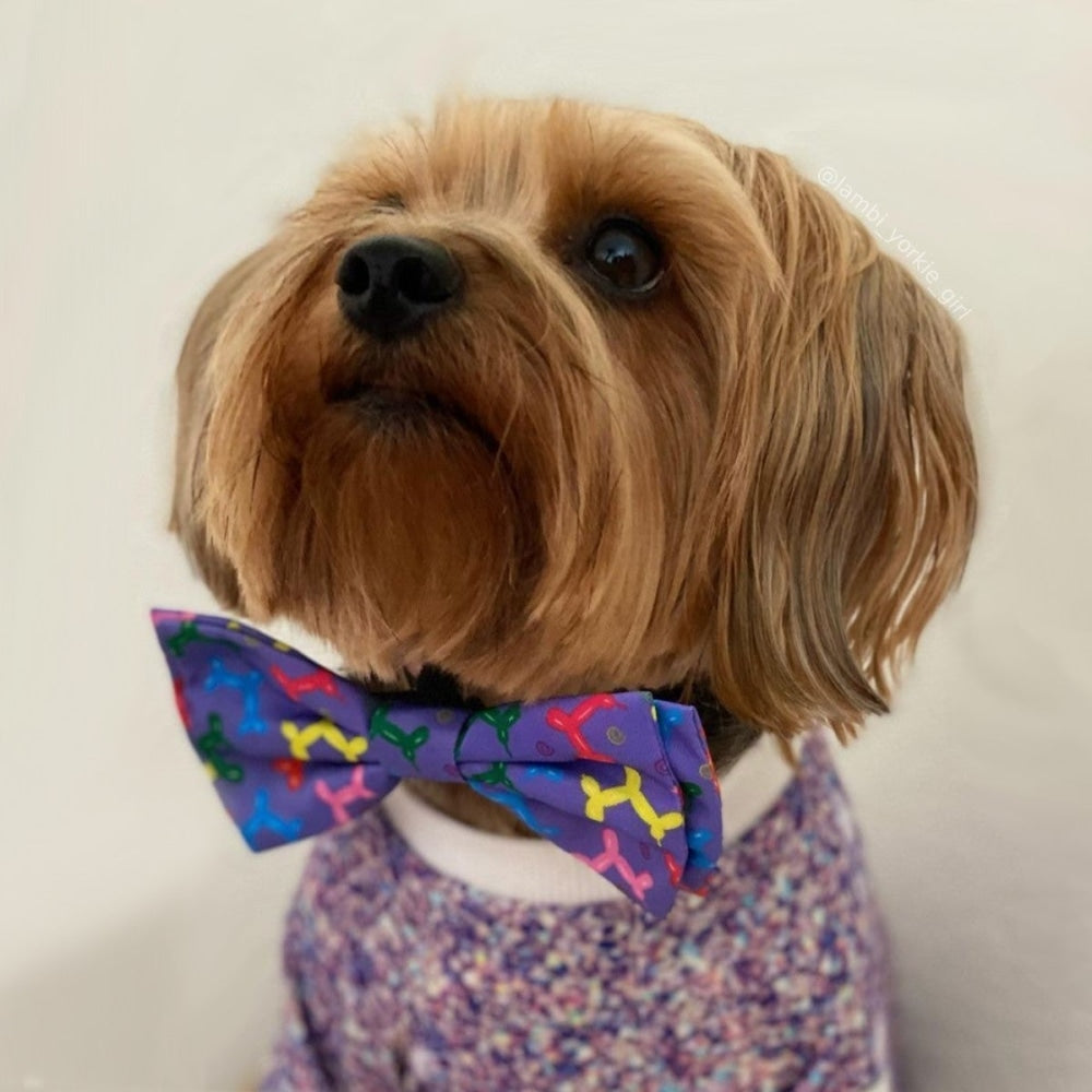 Balloon Doggy Bow Tie - 30% Off
