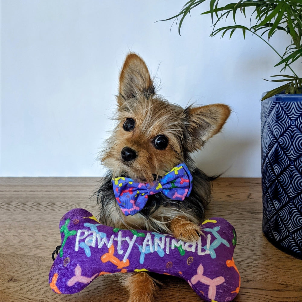 Balloon Doggy Bow Tie - 30% Off