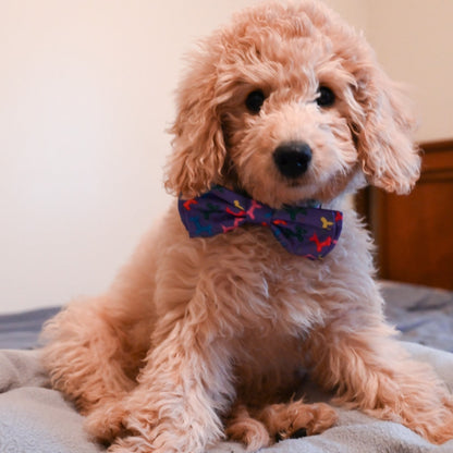 Balloon Doggy Bow Tie - 30% Off