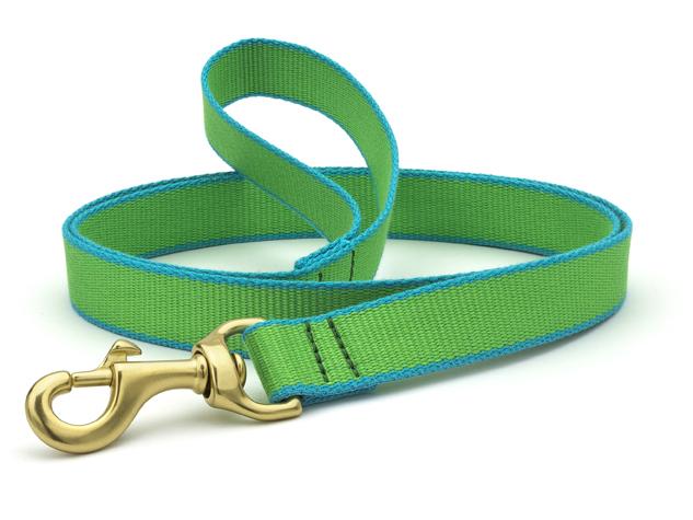 Color Market Dog Lead