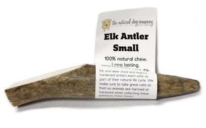 Elk Antler - Small Whole- EACH