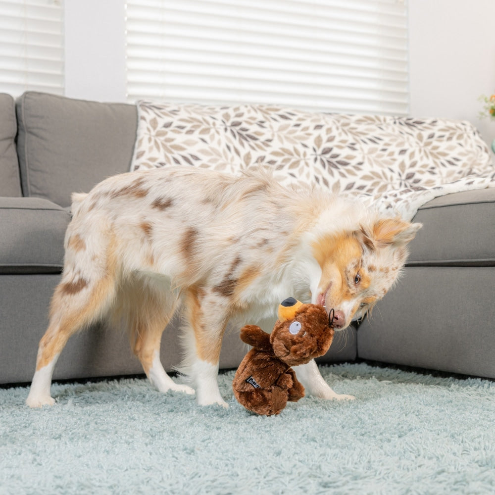 Slappies® Beary Styles Dog Toy