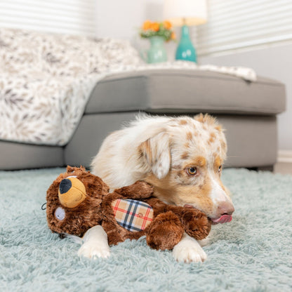 Slappies® Beary Styles Dog Toy