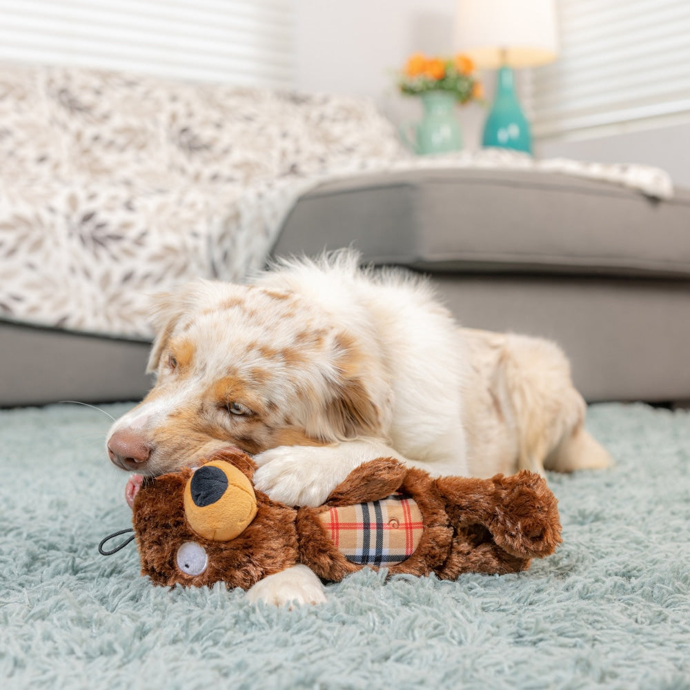 Slappies® Beary Styles Dog Toy