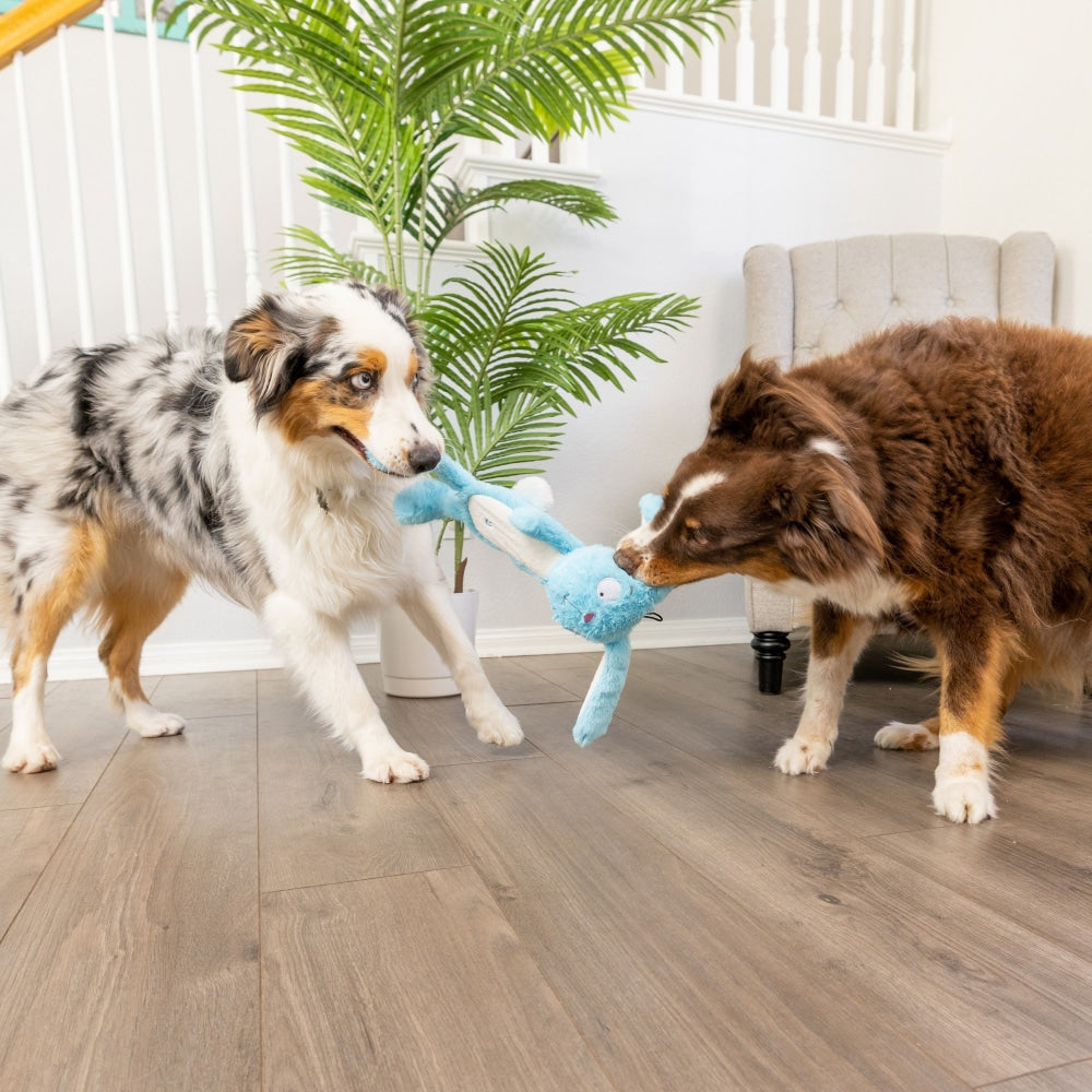 Slappies® Betty Bunny Dog Toy