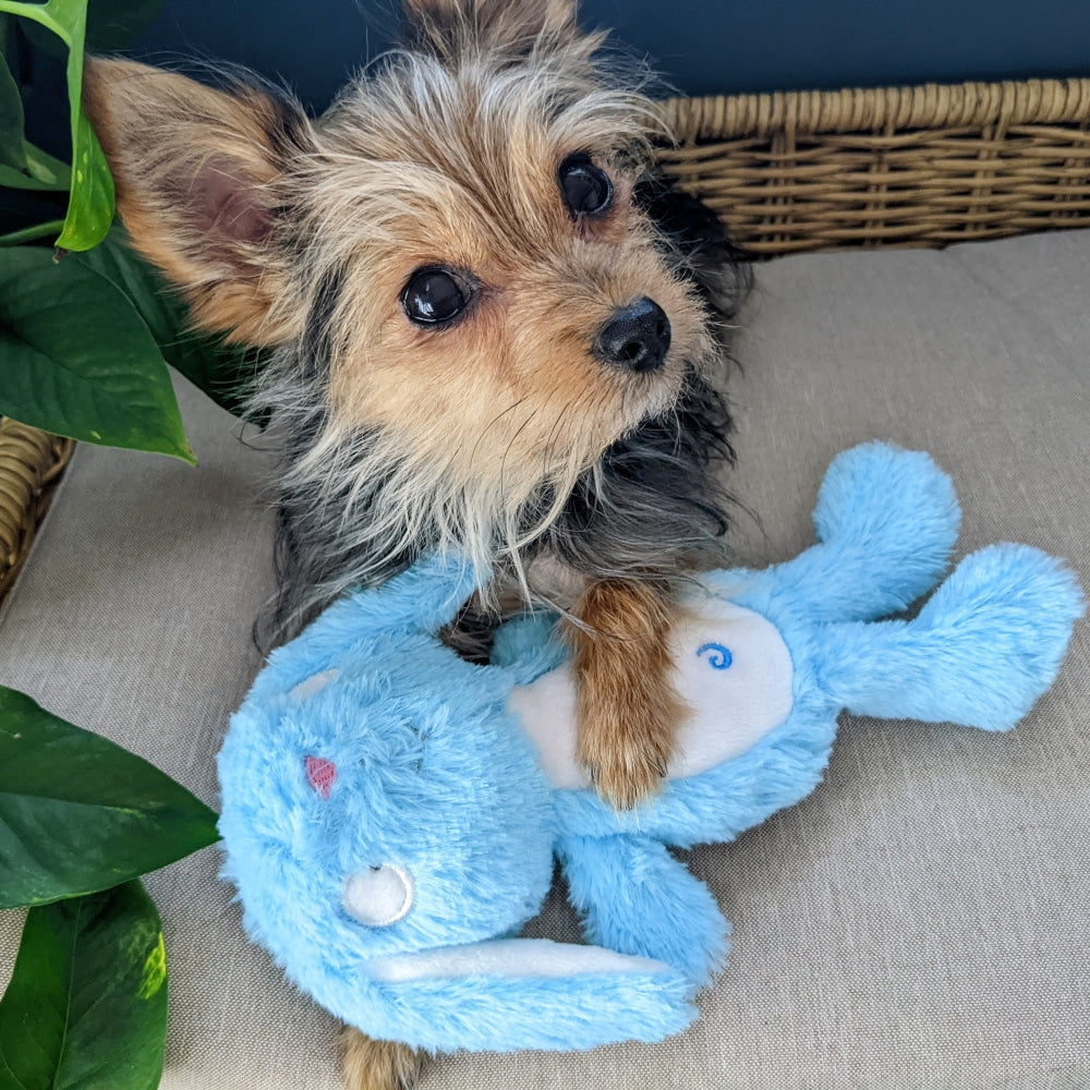 Slappies® Betty Bunny Dog Toy