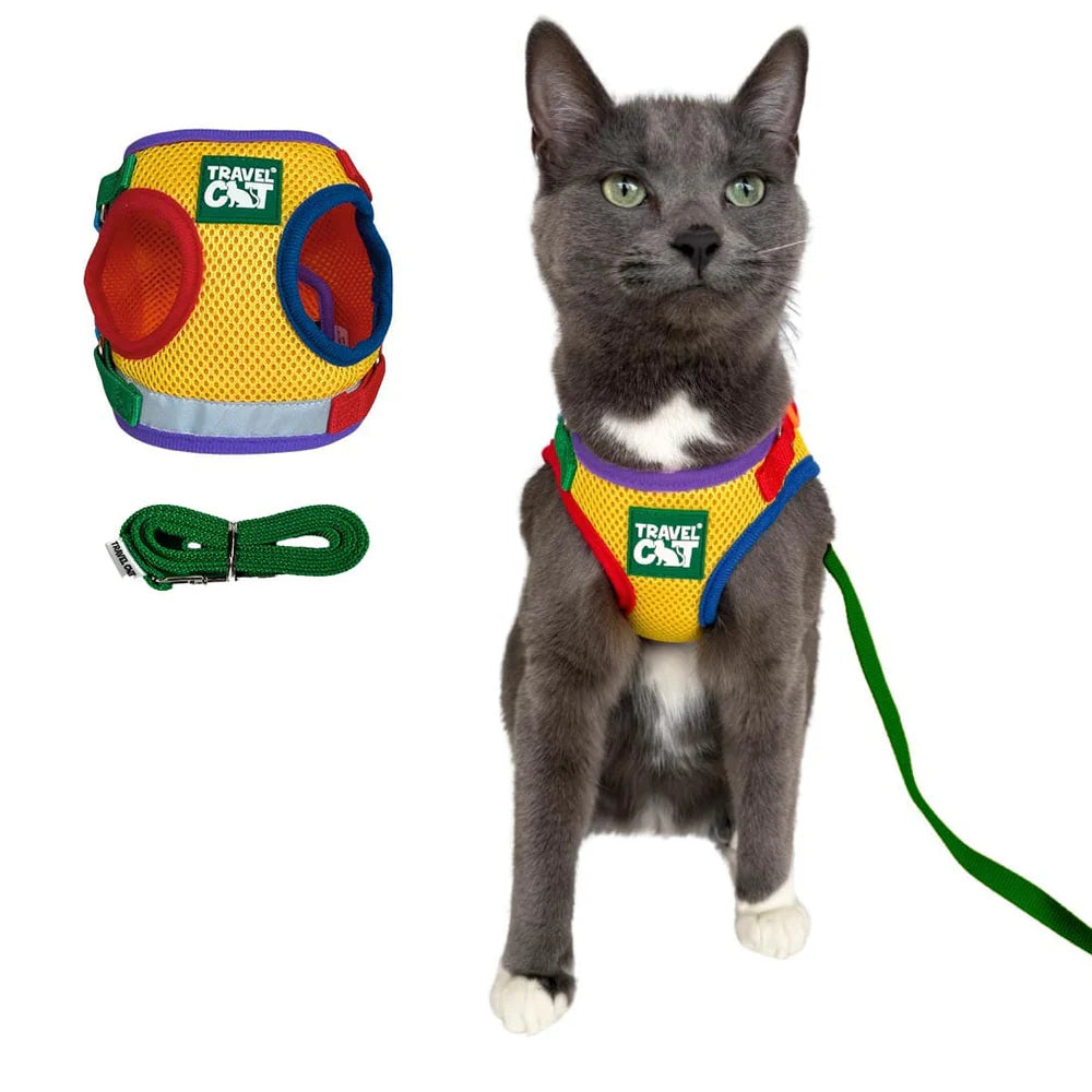 "The True Adventurer" Harness & Leash