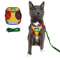 "The True Adventurer" Harness & Leash