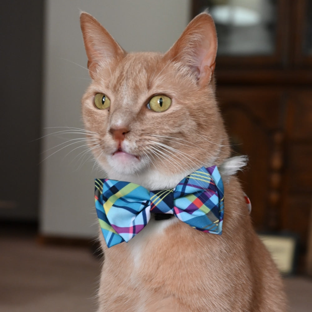 Blue Madras Bow Tie
